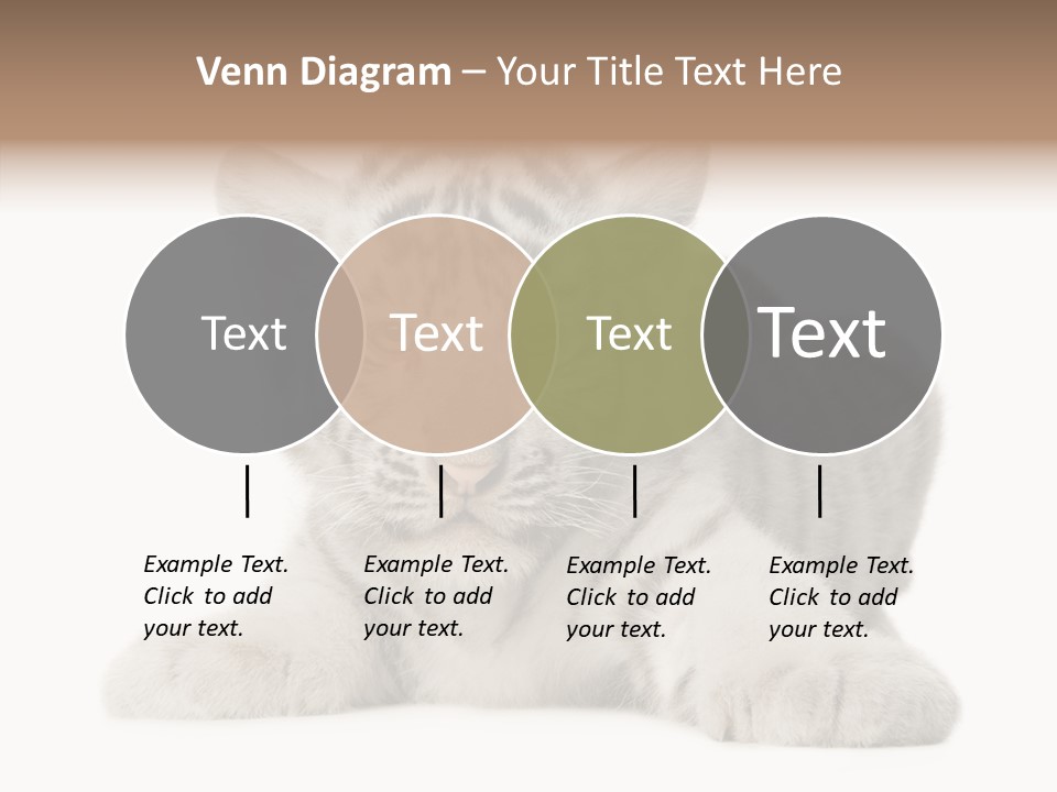 Tiger Wild Predator PowerPoint Template