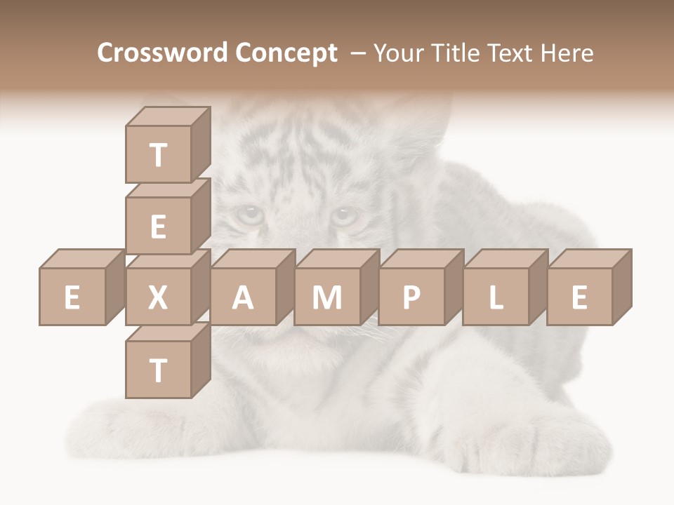 Tiger Wild Predator PowerPoint Template