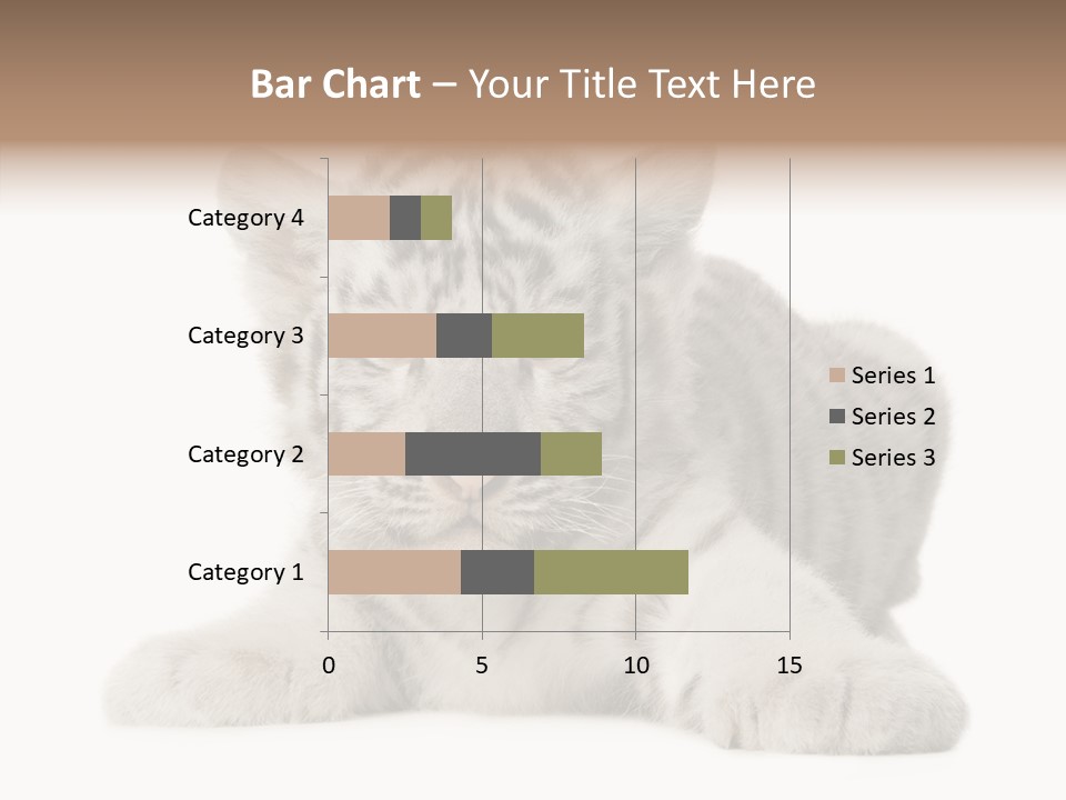 Tiger Wild Predator PowerPoint Template