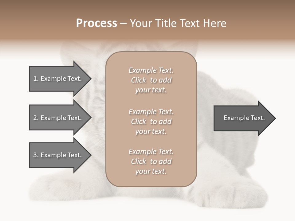 Tiger Wild Predator PowerPoint Template