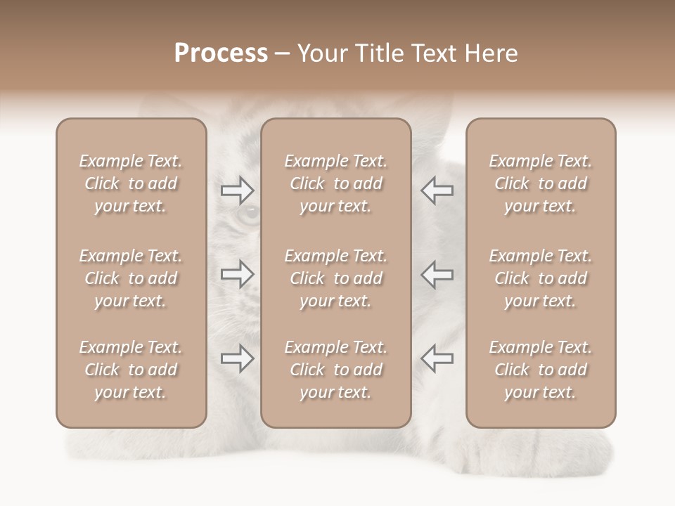 Tiger Wild Predator PowerPoint Template