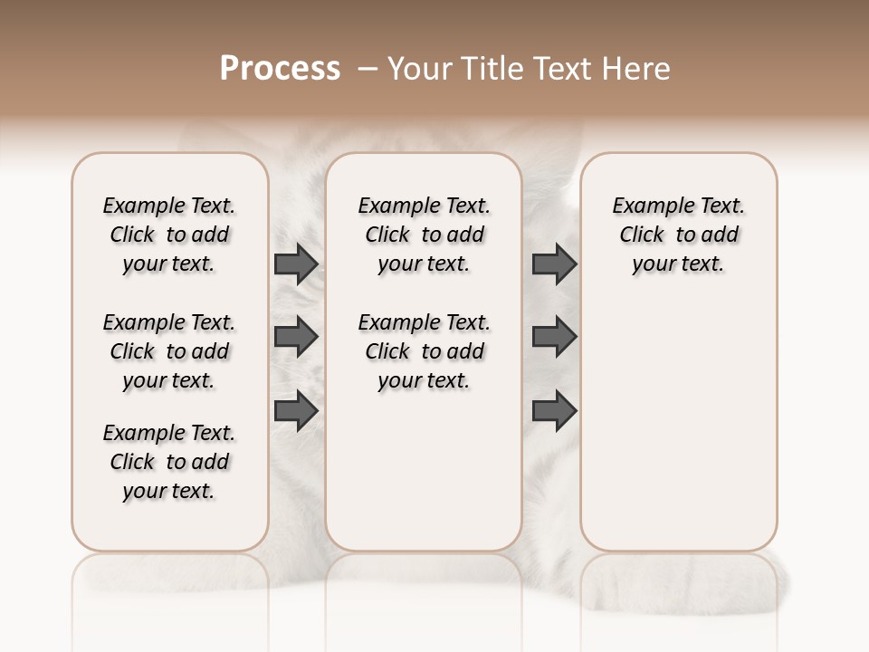Tiger Wild Predator PowerPoint Template