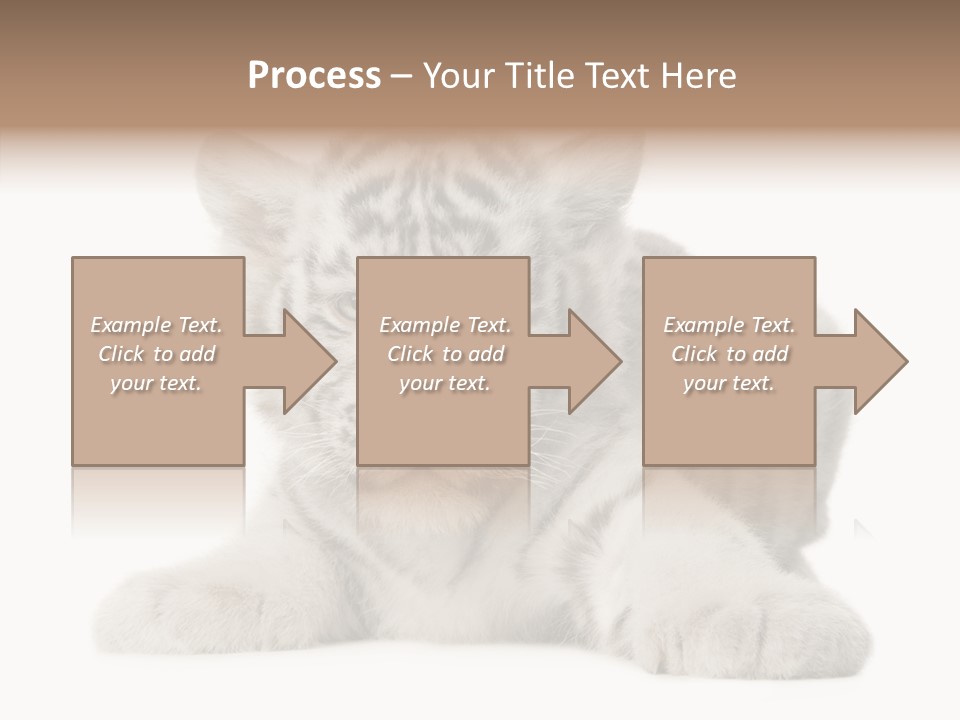 Tiger Wild Predator PowerPoint Template