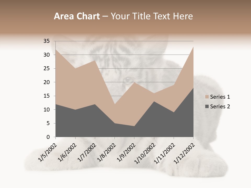 Tiger Wild Predator PowerPoint Template