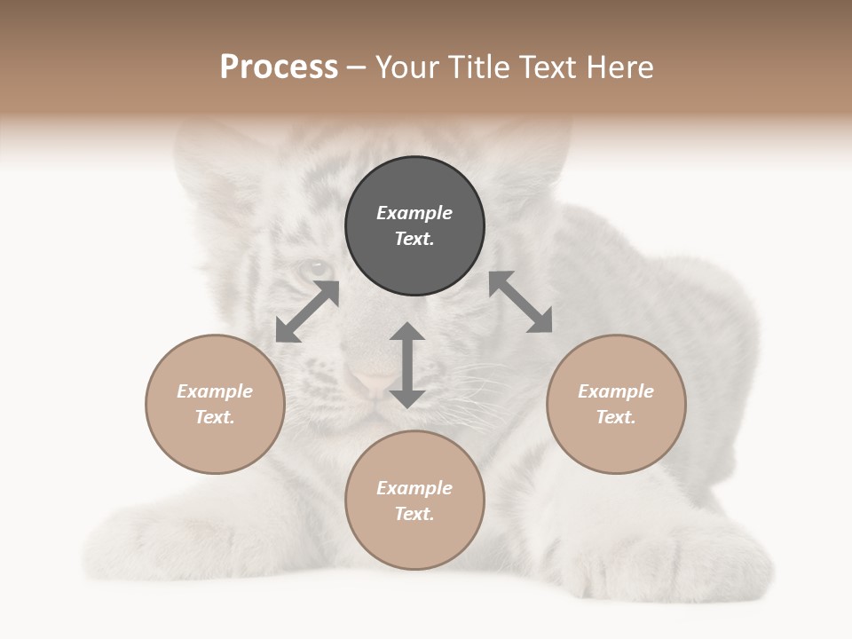 Tiger Wild Predator PowerPoint Template