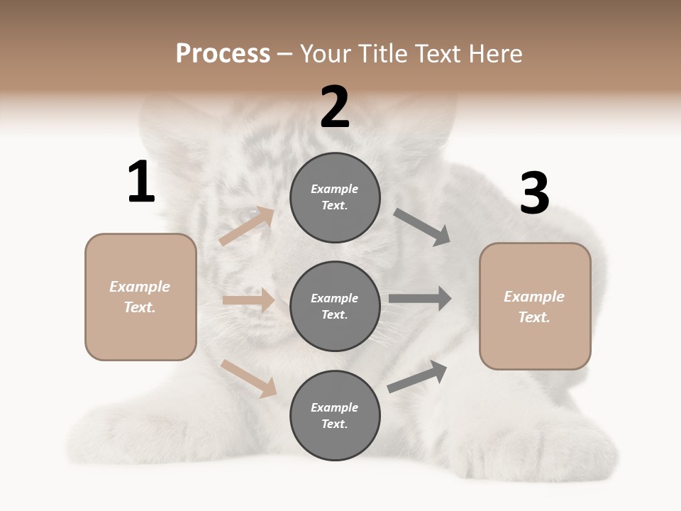 Tiger Wild Predator PowerPoint Template