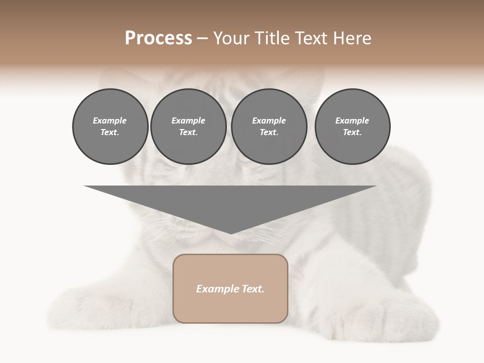 Tiger Wild Predator PowerPoint Template