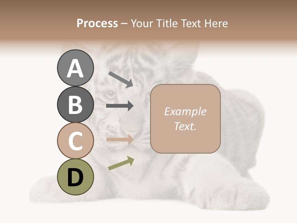 Tiger Wild Predator PowerPoint Template