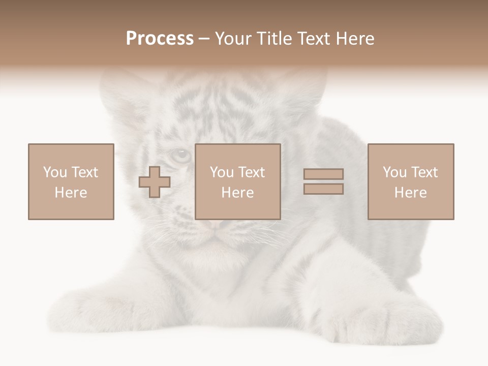 Tiger Wild Predator PowerPoint Template