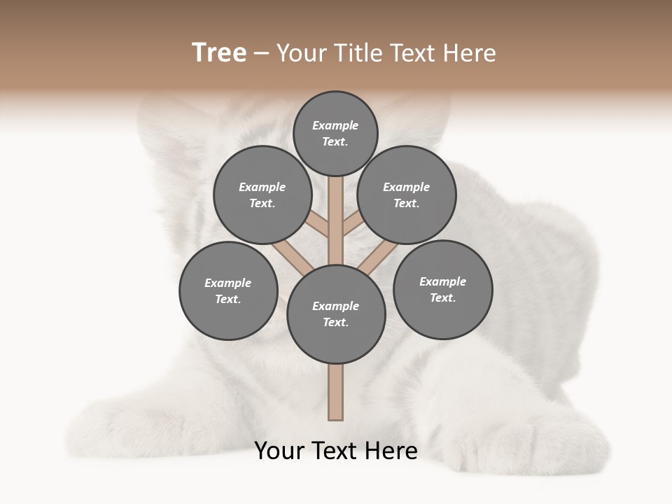 Tiger Wild Predator PowerPoint Template