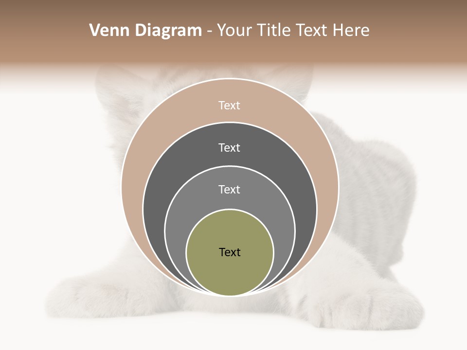 Tiger Wild Predator PowerPoint Template