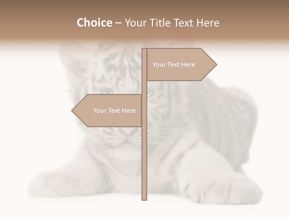 Tiger Wild Predator PowerPoint Template