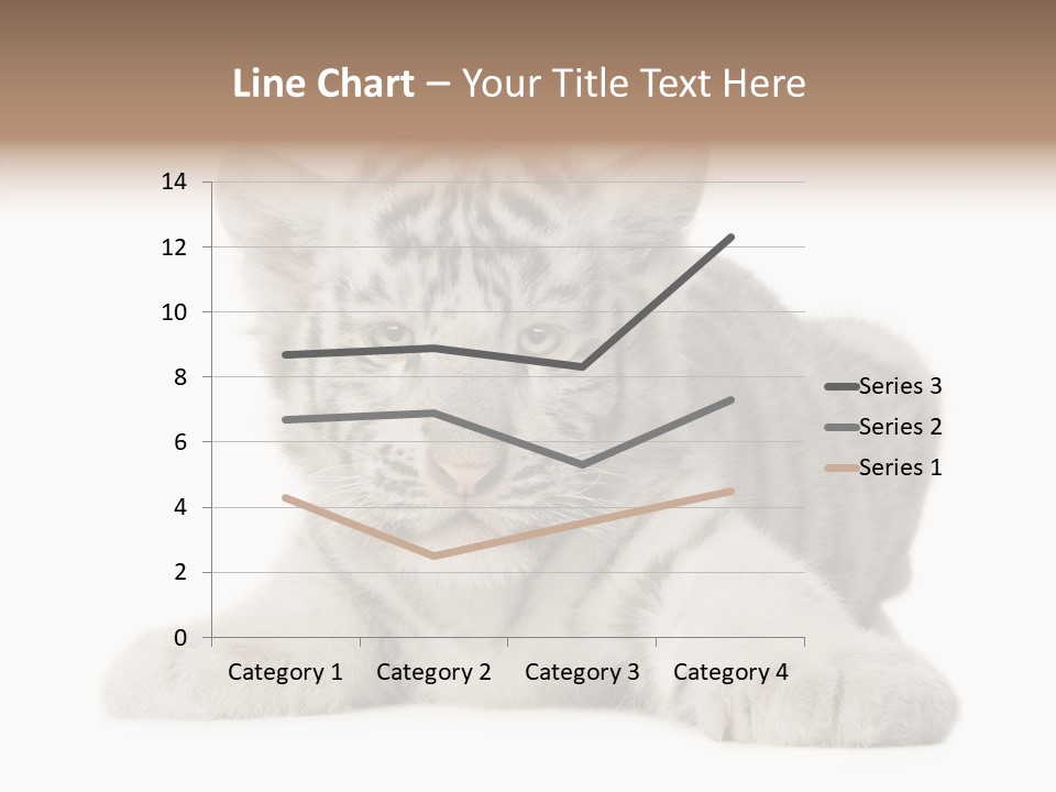 Tiger Wild Predator PowerPoint Template