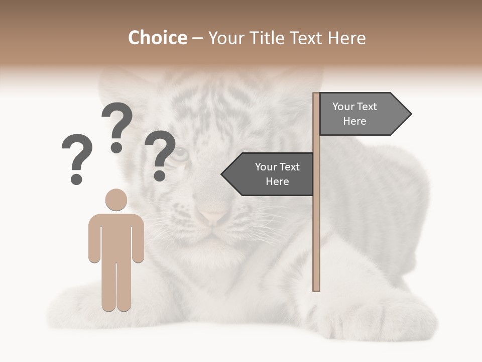 Tiger Wild Predator PowerPoint Template