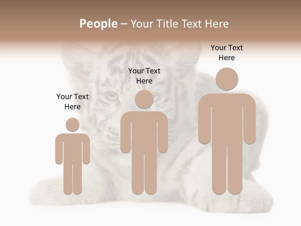 Tiger Wild Predator PowerPoint Template