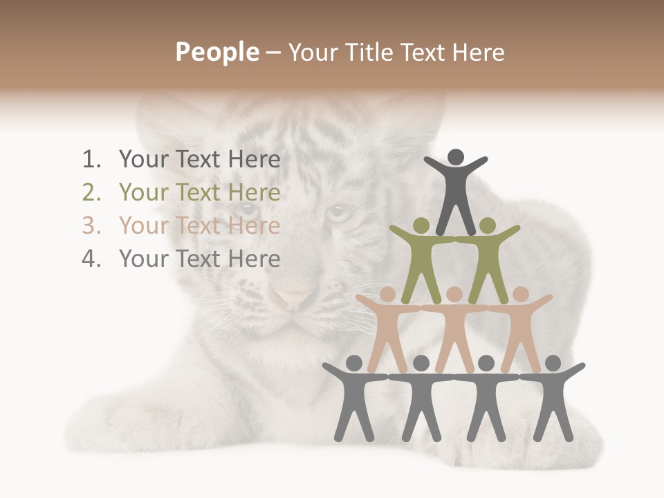 Tiger Wild Predator PowerPoint Template