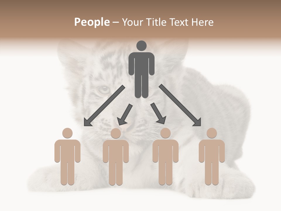 Tiger Wild Predator PowerPoint Template