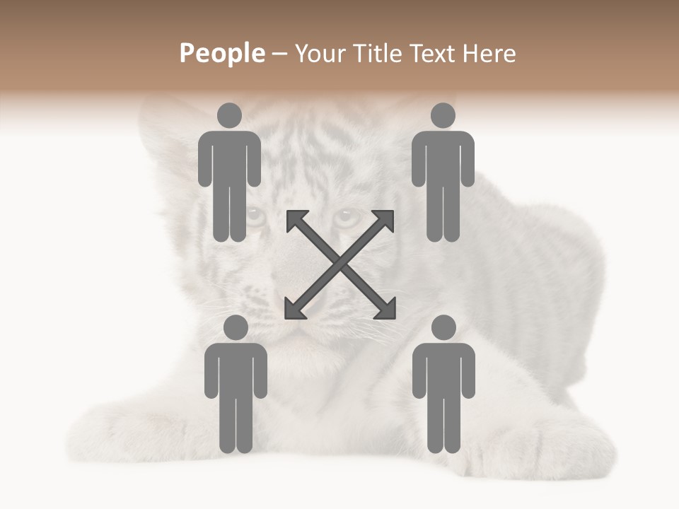 Tiger Wild Predator PowerPoint Template