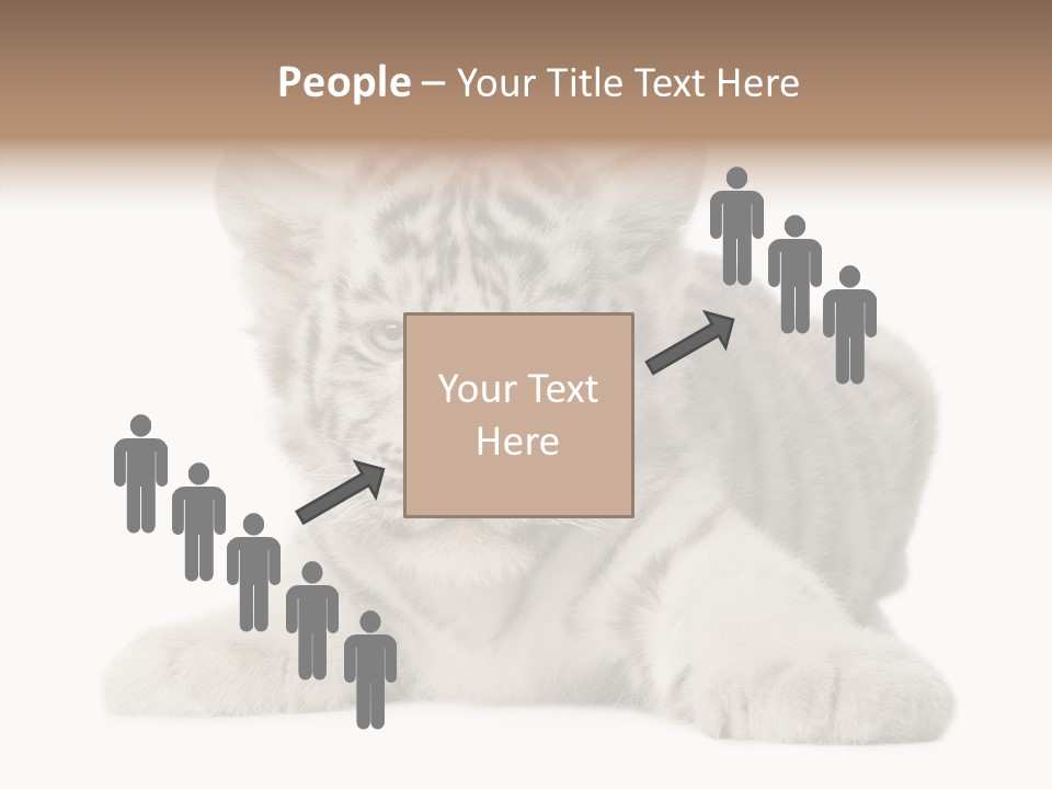 Tiger Wild Predator PowerPoint Template