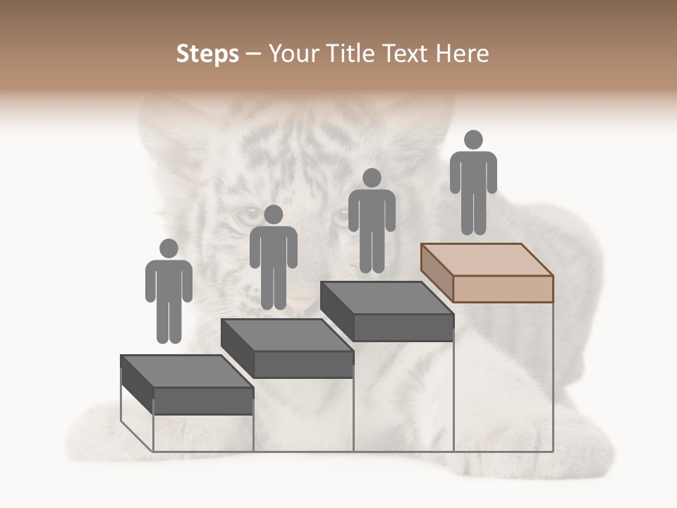 Tiger Wild Predator PowerPoint Template