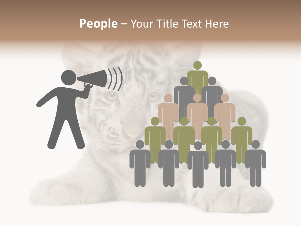 Tiger Wild Predator PowerPoint Template