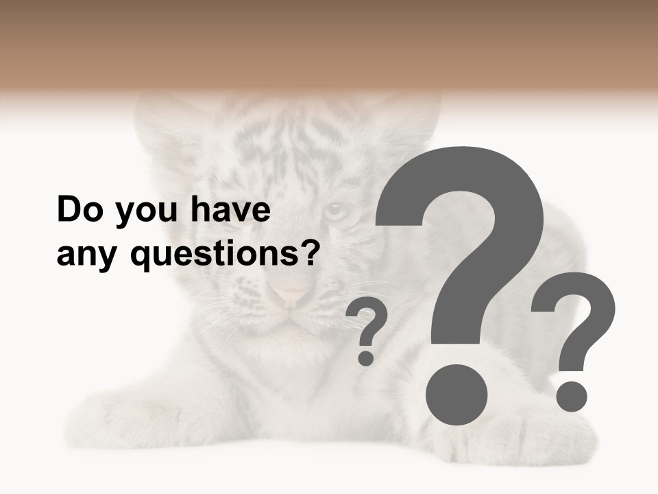 Tiger Wild Predator PowerPoint Template