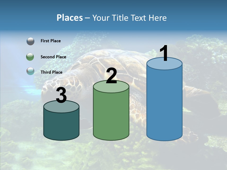 Marine Turtle Ocean PowerPoint Template