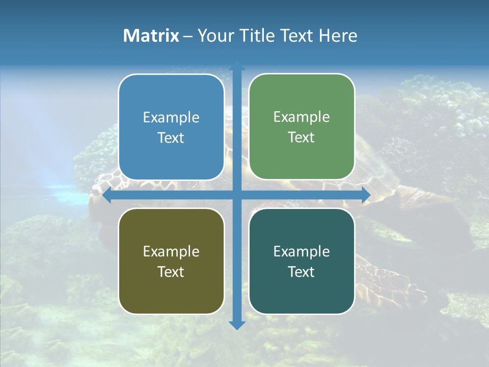 Marine Turtle Ocean PowerPoint Template