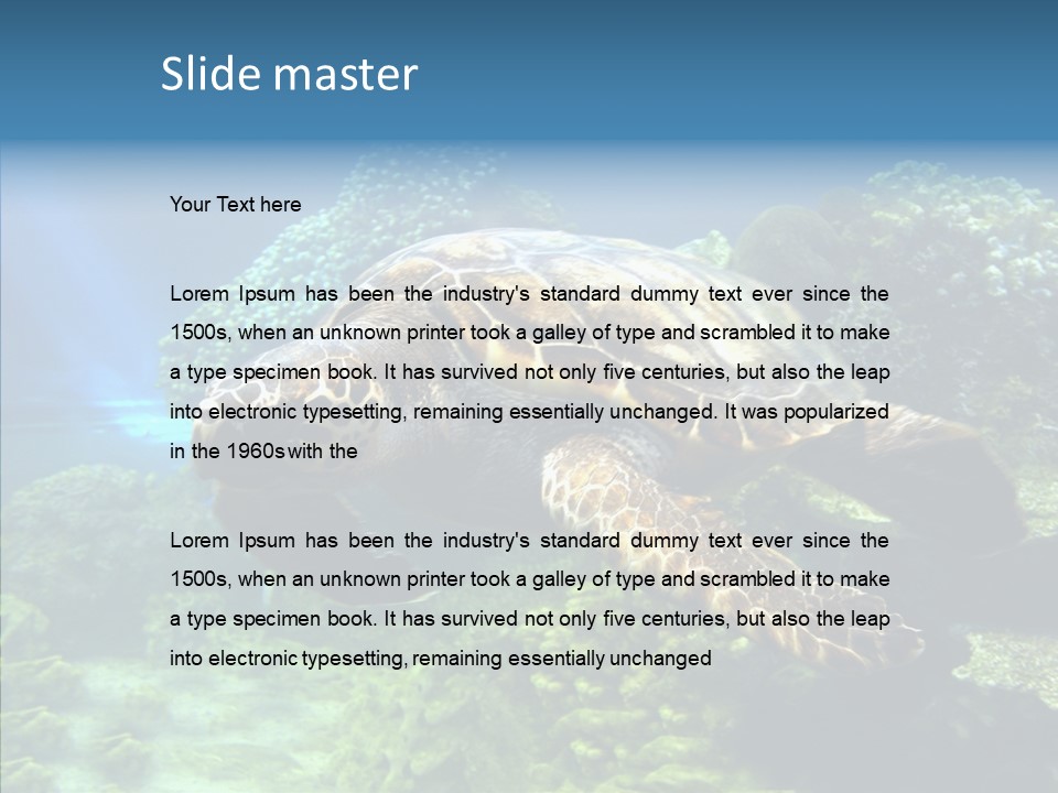 Marine Turtle Ocean PowerPoint Template