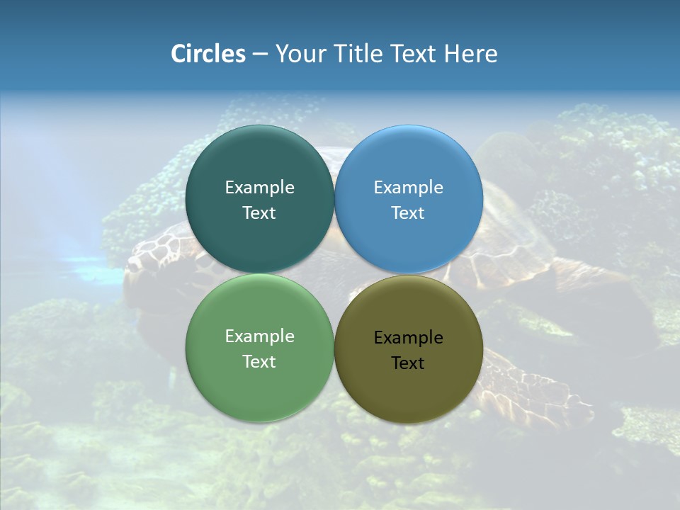 Marine Turtle Ocean PowerPoint Template