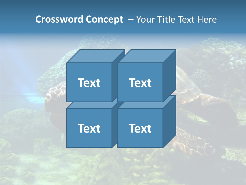 Marine Turtle Ocean PowerPoint Template