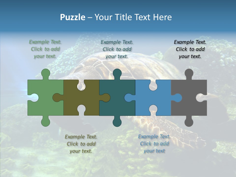 Marine Turtle Ocean PowerPoint Template