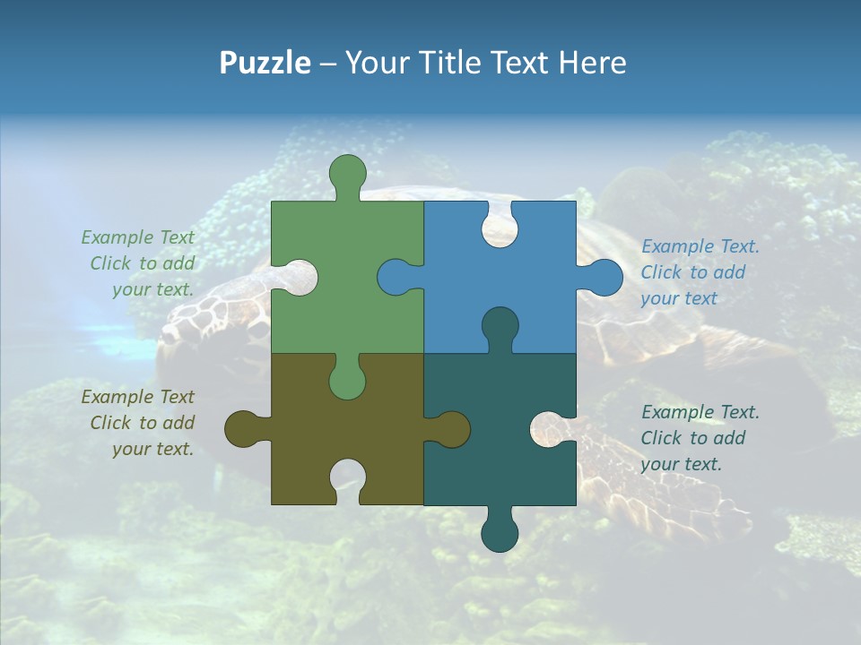 Marine Turtle Ocean PowerPoint Template