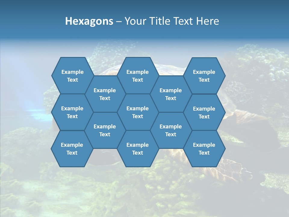 Marine Turtle Ocean PowerPoint Template