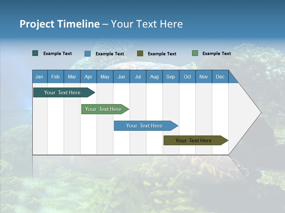 Marine Turtle Ocean PowerPoint Template