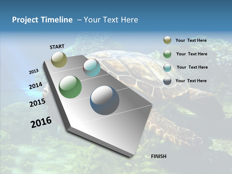 Marine Turtle Ocean PowerPoint Template