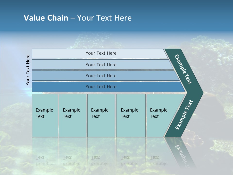 Marine Turtle Ocean PowerPoint Template