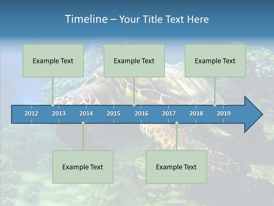 Marine Turtle Ocean PowerPoint Template