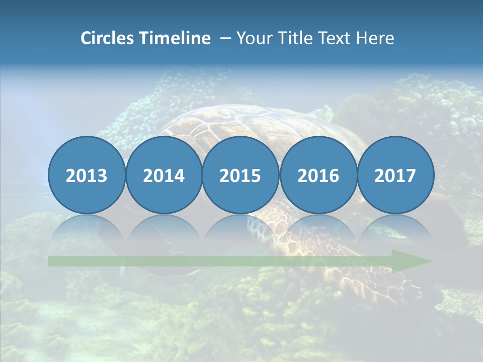 Marine Turtle Ocean PowerPoint Template