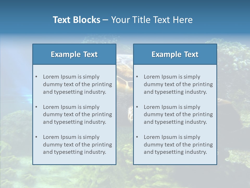 Marine Turtle Ocean PowerPoint Template