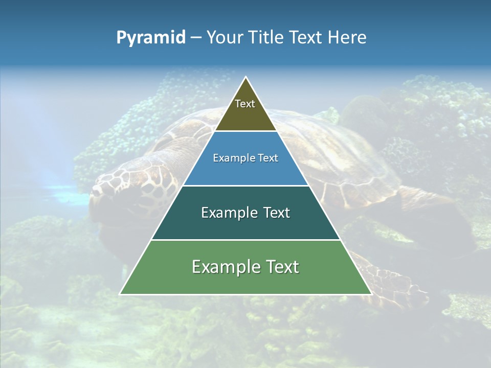 Marine Turtle Ocean PowerPoint Template