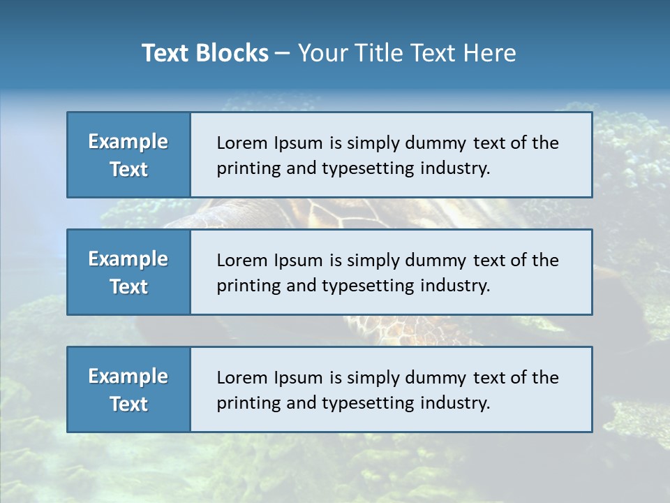 Marine Turtle Ocean PowerPoint Template