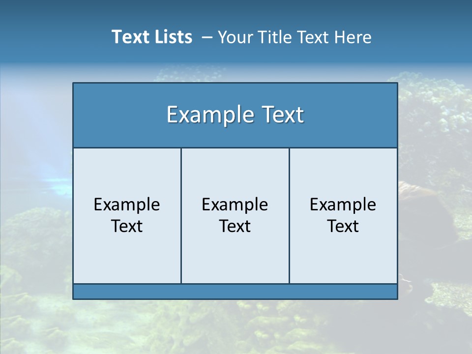 Marine Turtle Ocean PowerPoint Template