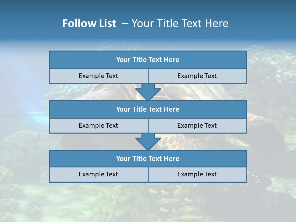 Marine Turtle Ocean PowerPoint Template