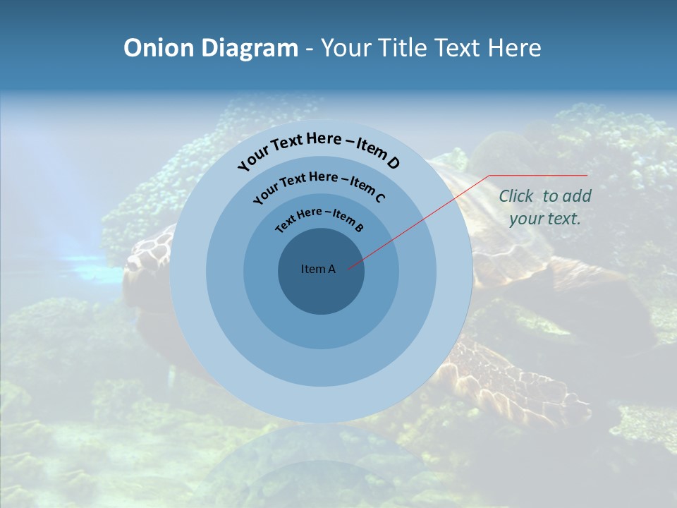 Marine Turtle Ocean PowerPoint Template