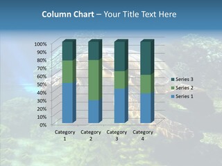 Marine Turtle Ocean PowerPoint Template