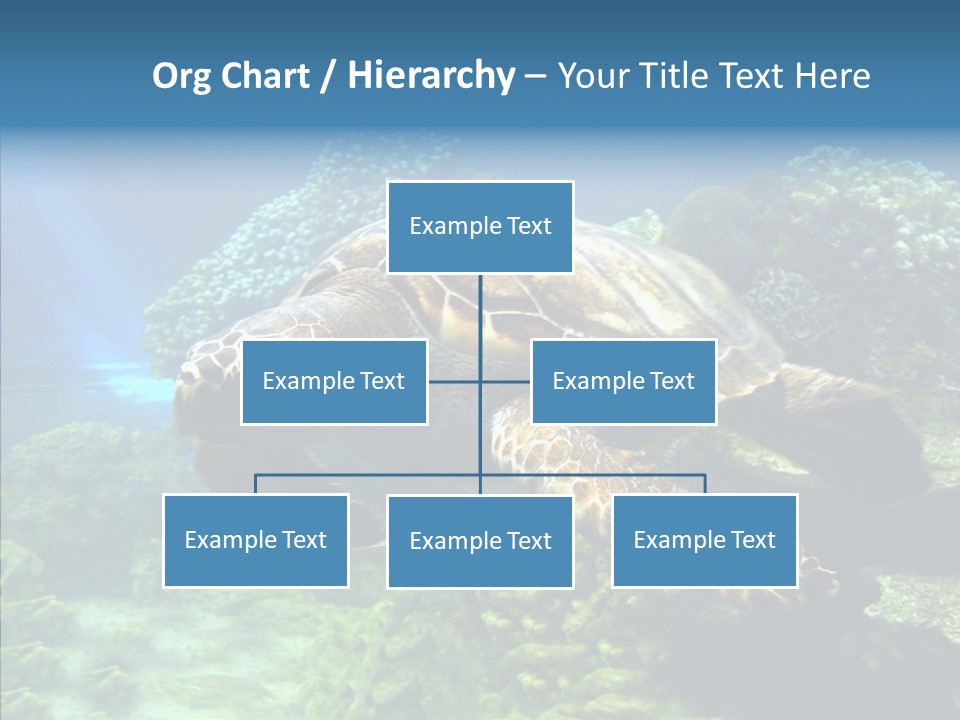 Marine Turtle Ocean PowerPoint Template