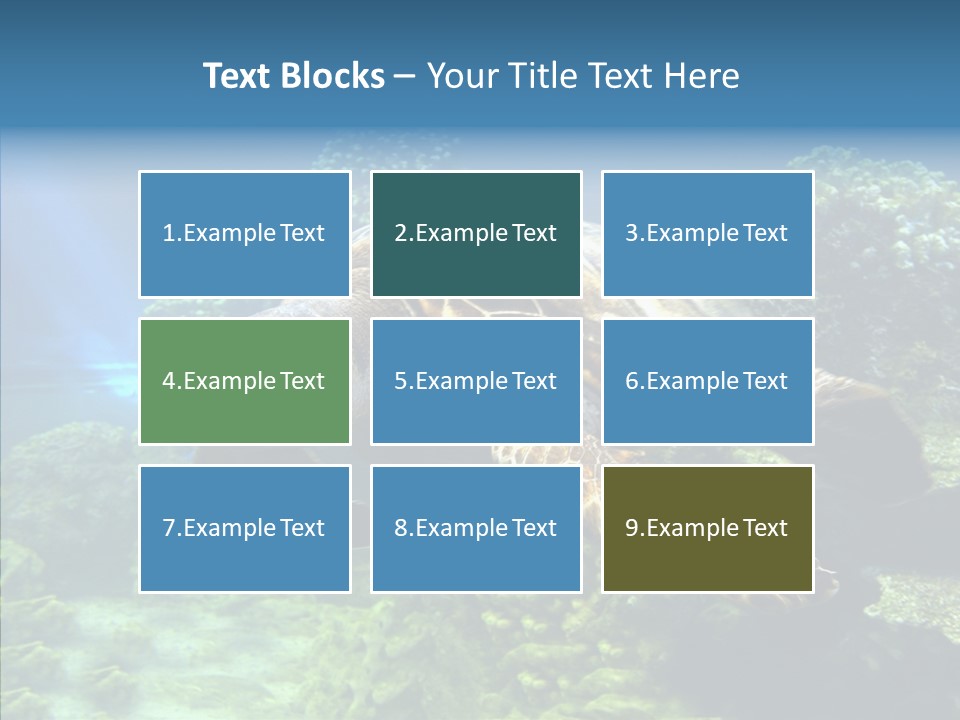 Marine Turtle Ocean PowerPoint Template