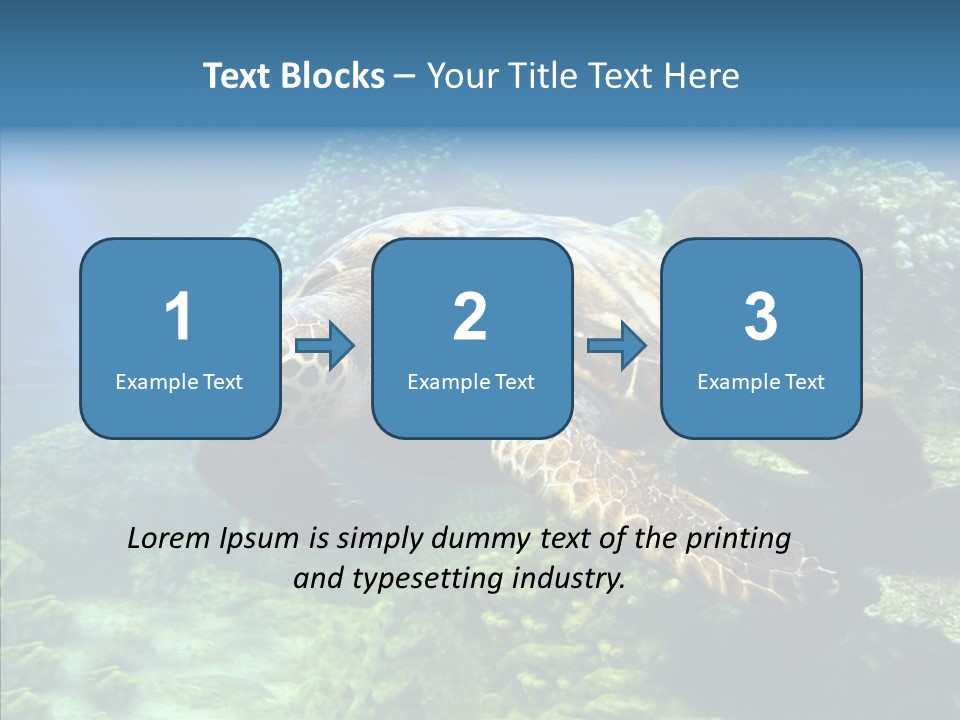 Marine Turtle Ocean PowerPoint Template