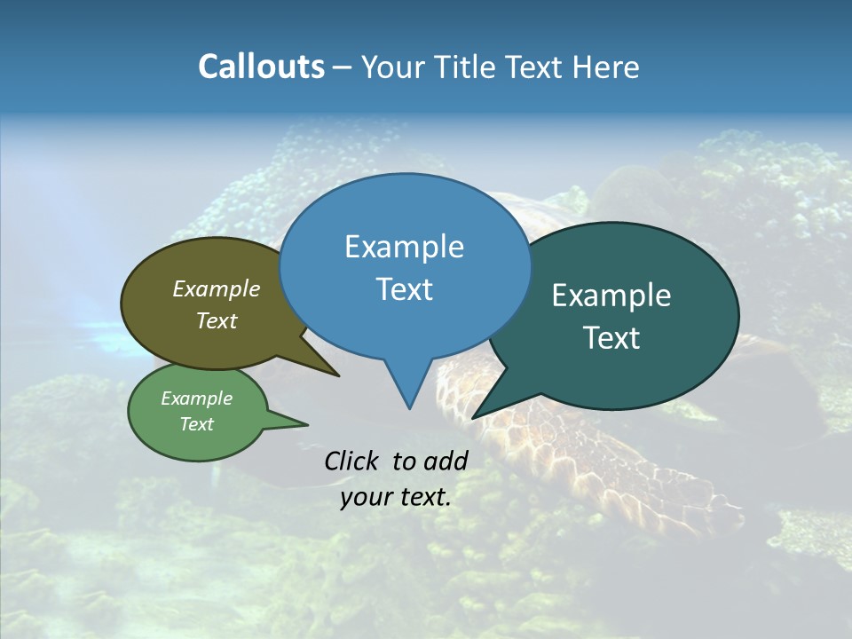 Marine Turtle Ocean PowerPoint Template